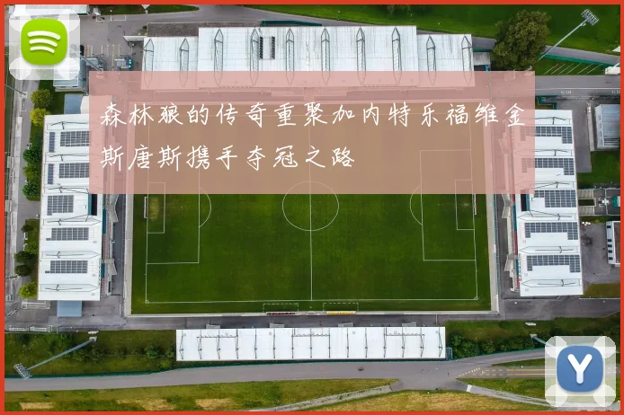 森林狼的传奇重聚加内特乐福维金斯唐斯携手夺冠之路